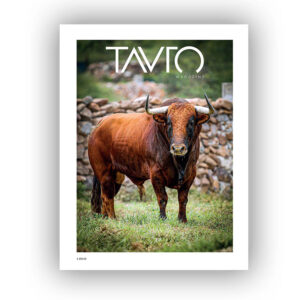 Tauro XXII, Invierno 2025