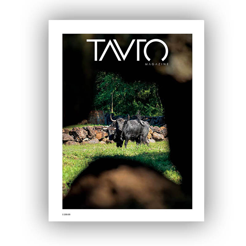 Portada Tauro 23 web