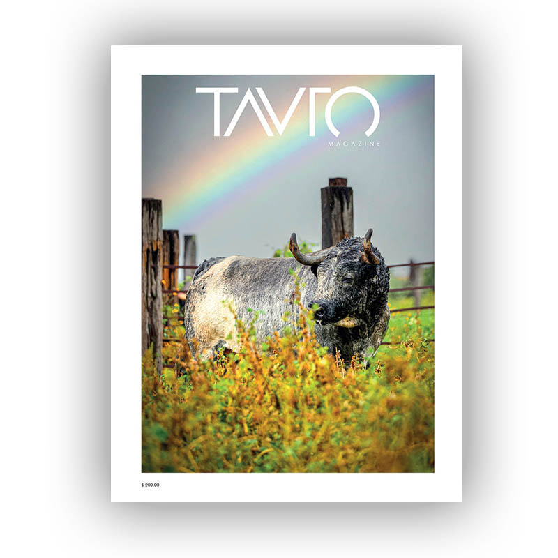 Portada Tauro 24 web