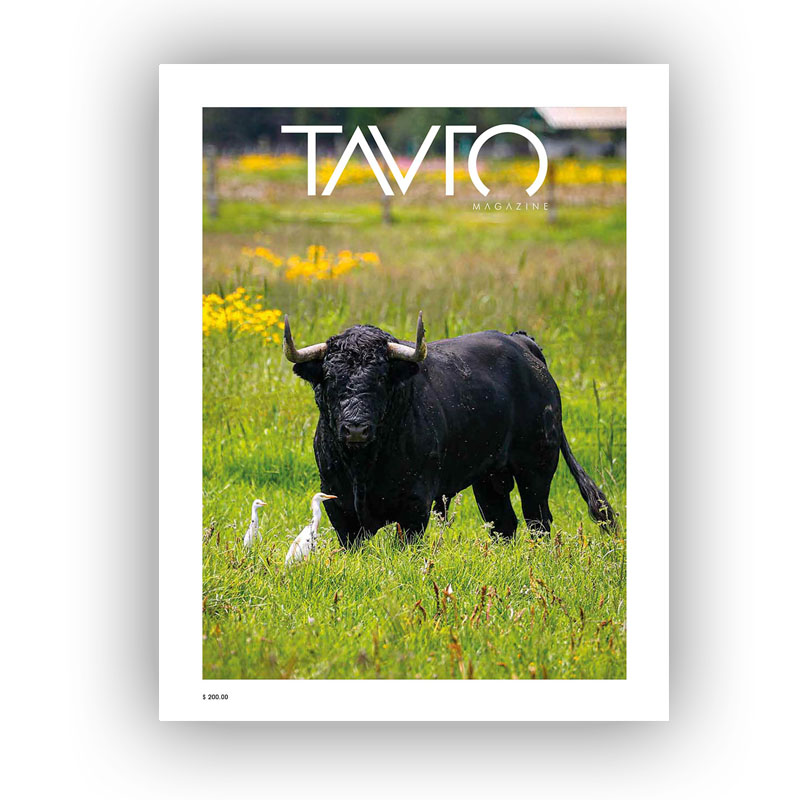Portada Tauro 25 web